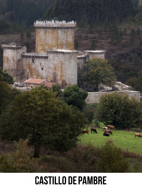 Castelo de Pambre