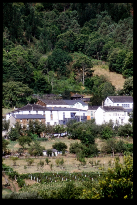 Proxecto de Casa de Turismo Rural.