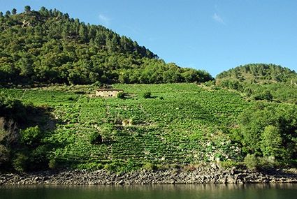Moving forward on Ribeira Sacra’s nomination to be part of the World Heritage Site List.