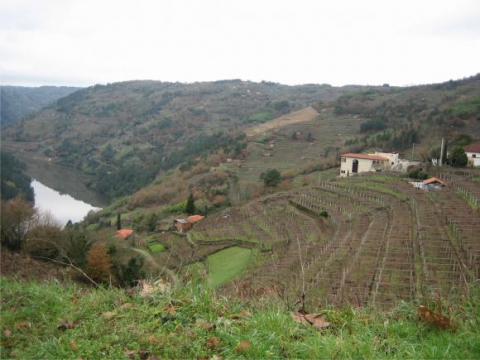The Wine Routes of the Euro-region Galicia-Northern Portugal Project