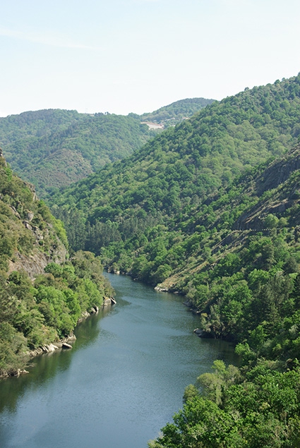 Moving forward on Ribeira Sacra’s nomination to be part of the World Heritage Site List.